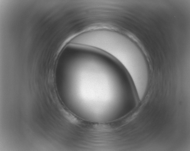 X0000082761089200701261119