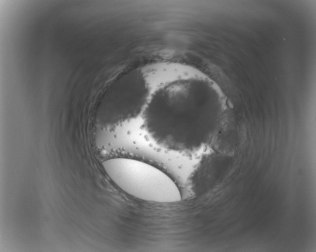 X0000082761105200701261118