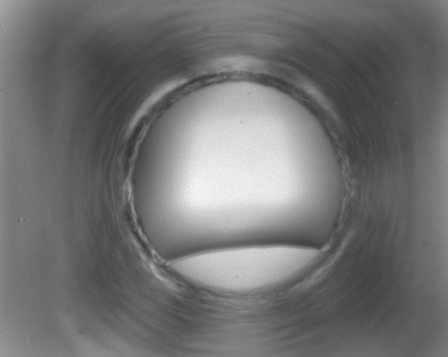 X0000082761117200701261118