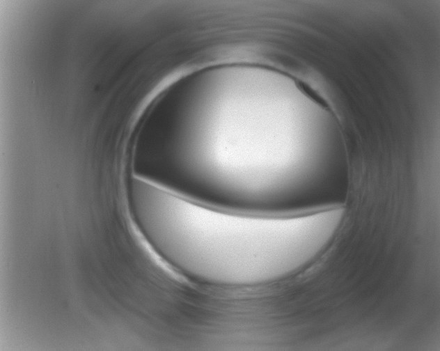 X0000082761142200701261119