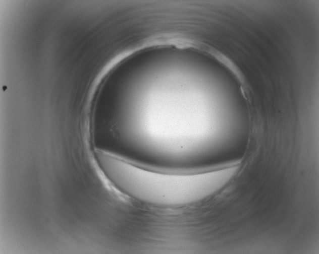 X0000082761144200701261119