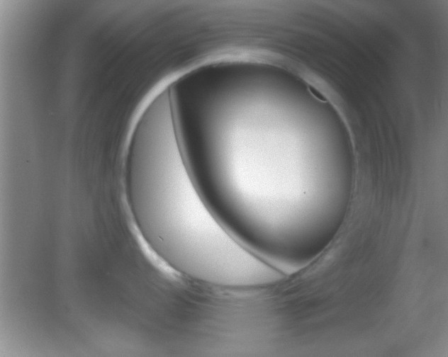 X0000082761152200701261119
