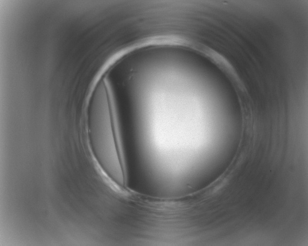 X0000082761192200701261117