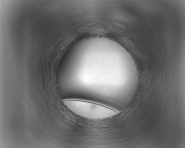 X0000082761201200701261116