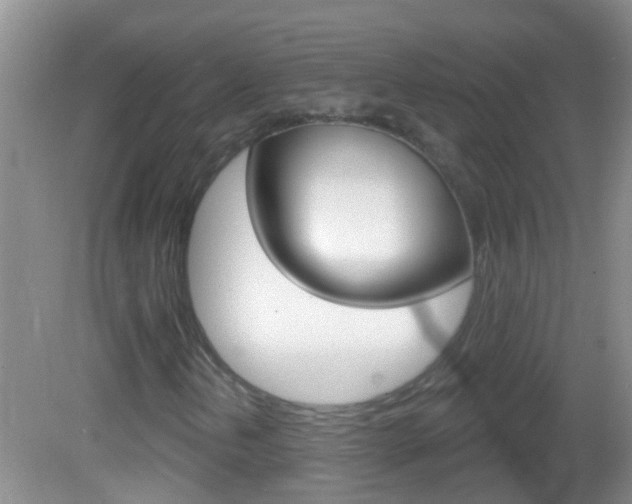 X0000082761202200701261116