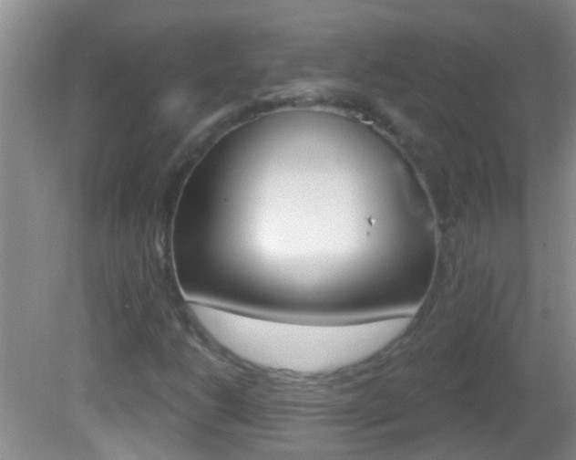 X0000082761206200701261116