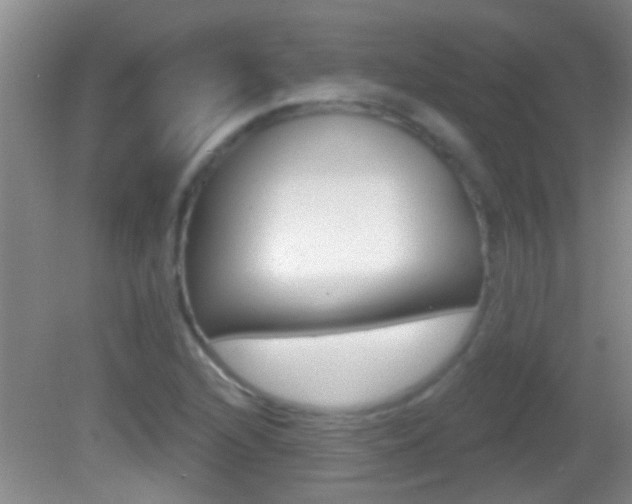 X0000082761216200701261117