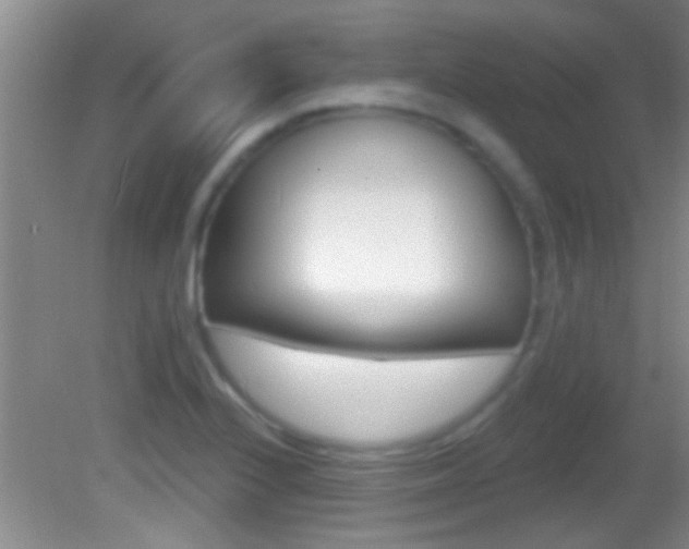 X0000082761224200701261117