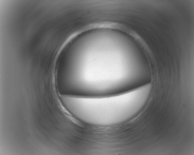 X0000082761232200701261117
