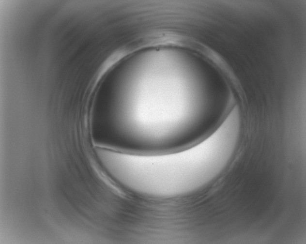 X0000082761234200701261117