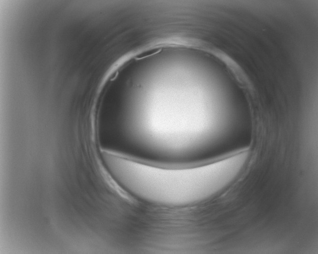 X0000082761238200701261117