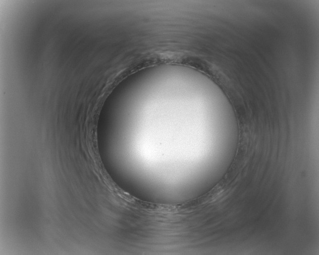 X0000082761249200701261116