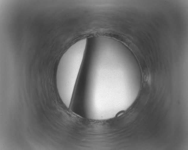 X0000082761252200701261116