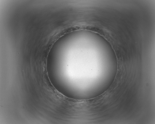 X0000082761253200701261116