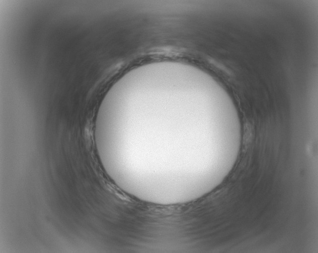 X0000082761254200701261116