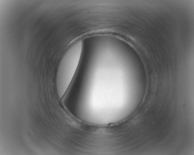 X0000082761265200701261116