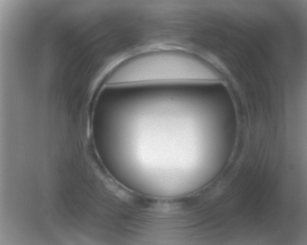 X0000082761269200701261116