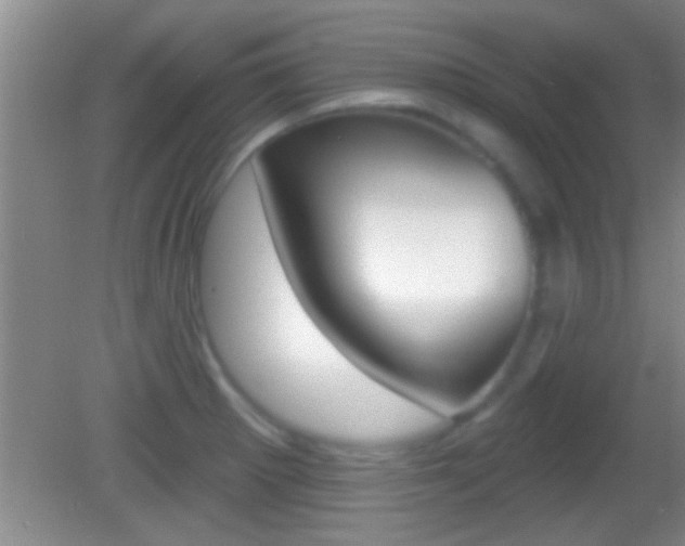 X0000082761281200701261116