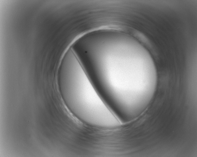X0000082761284200701261116