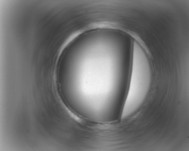 X0000082761285200701261116