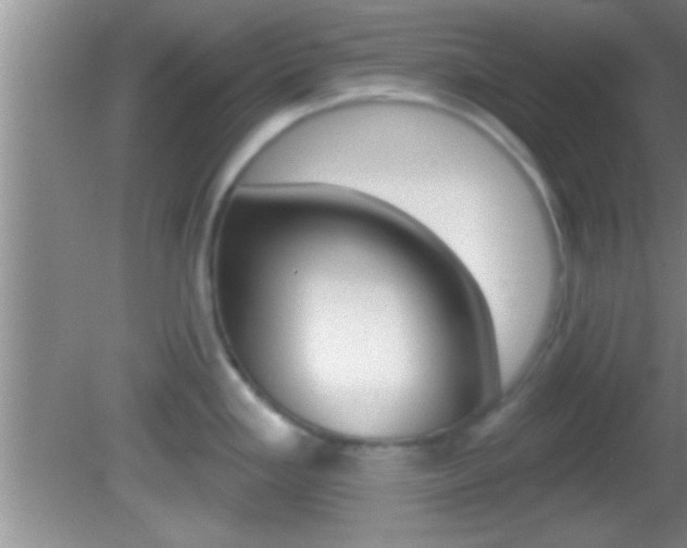 X0000082761293200701261116