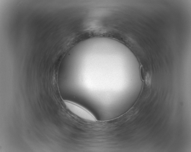 X0000082761299200701261115