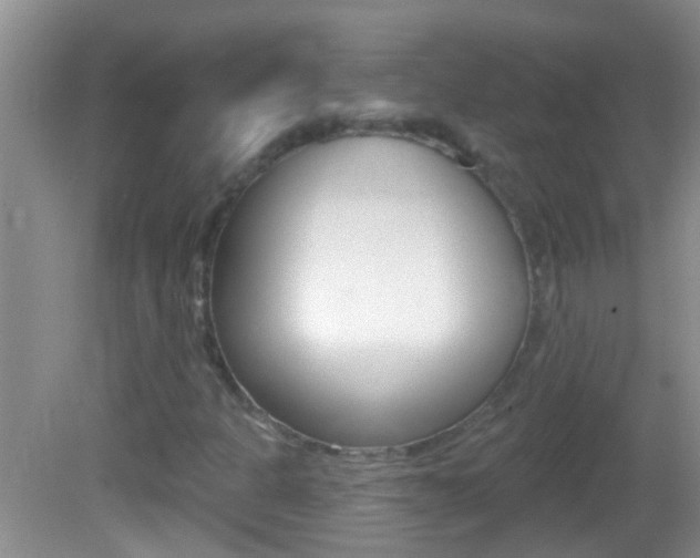 X0000082761301200701261115