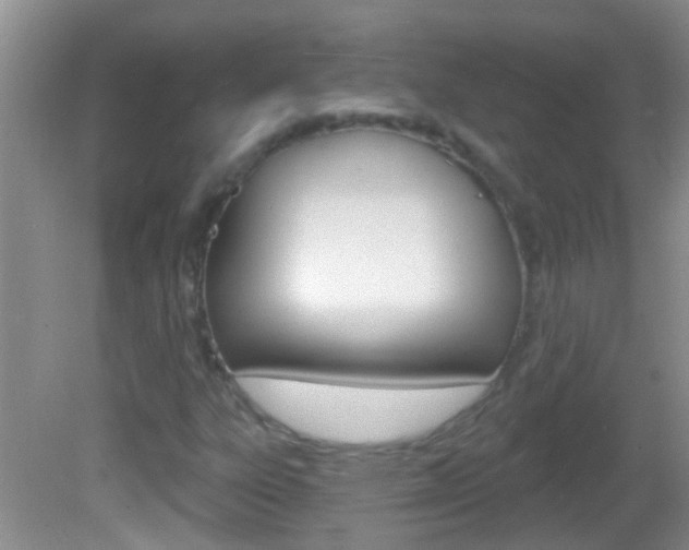 X0000082761303200701261115