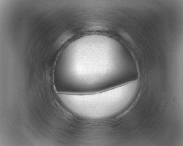 X0000082761305200701261115