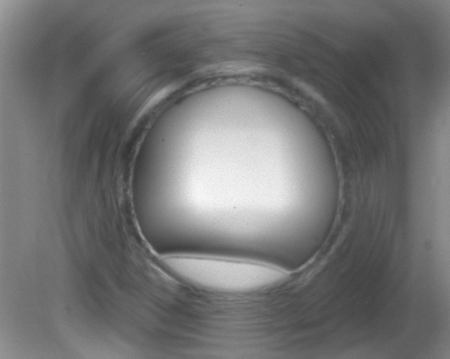 X0000082761306200701261115