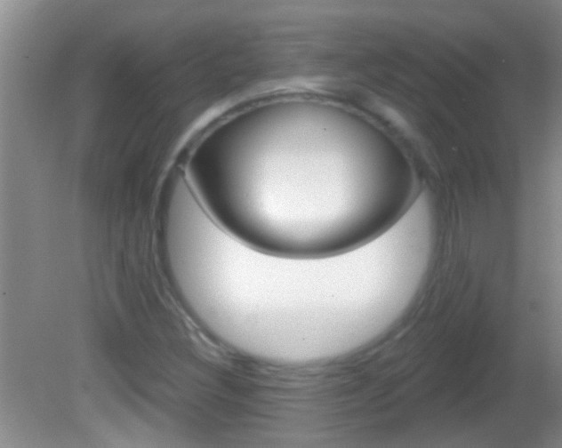 X0000082761308200701261115