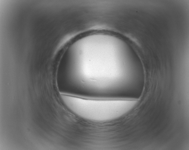 X0000082761311200701261115