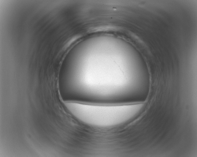 X0000082761313200701261115