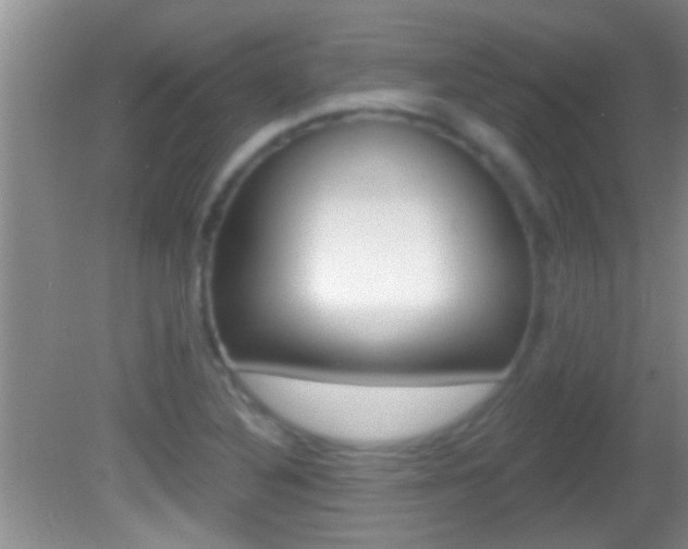 X0000082761316200701261115