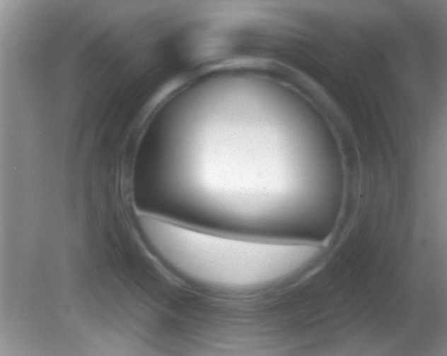 X0000082761321200701261115