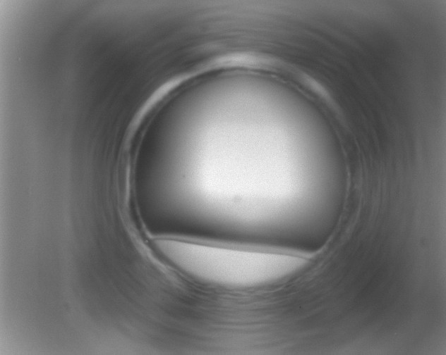 X0000082761323200701261115