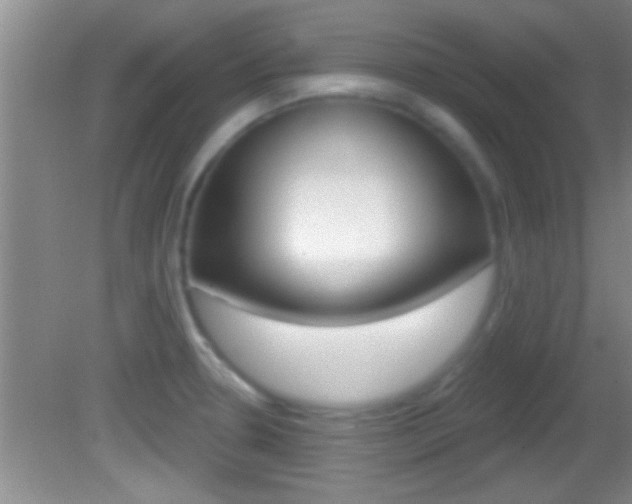 X0000082761330200701261115