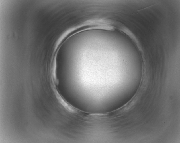 X0000082761344200701261115