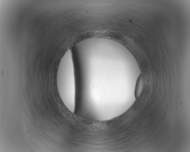 X0000082761346200701261115