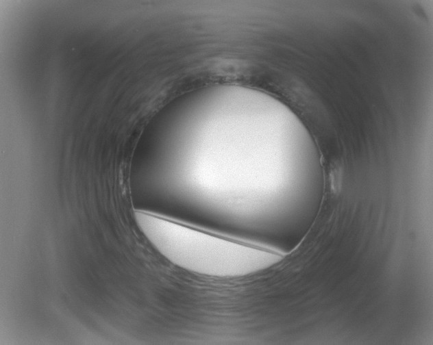 X0000082761347200701261115