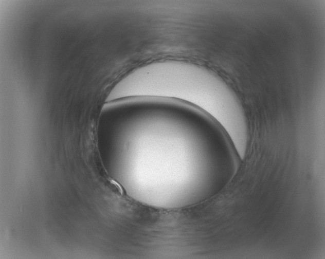 X0000082761349200701261115