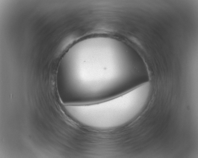 X0000082761355200701261115