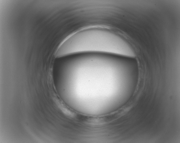 X0000082761369200701261114
