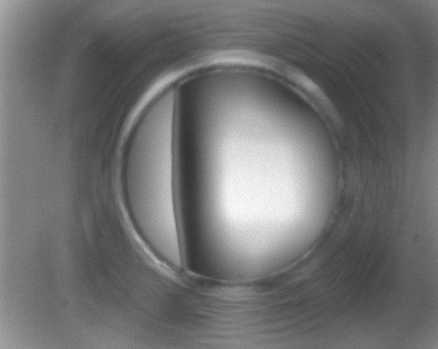 X0000082761376200701261114