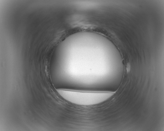 X0000082761396200701261113