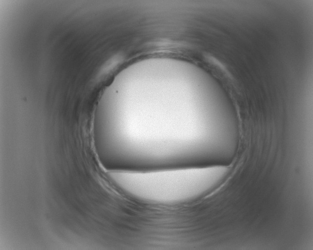 X0000082761403200701261113
