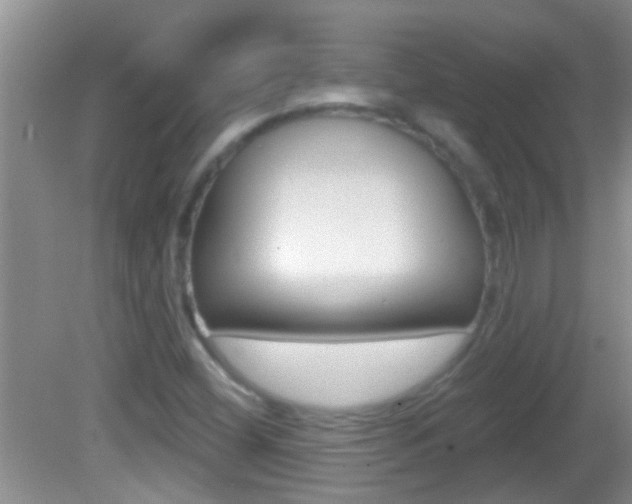 X0000082761404200701261113