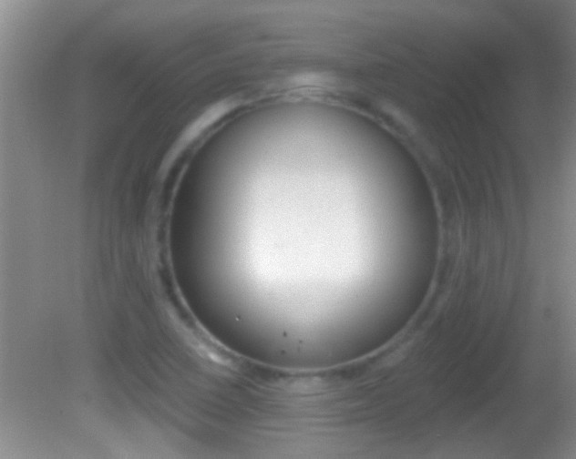 X0000082761410200701261113