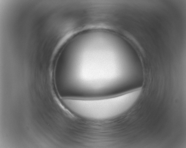X0000082761416200701261113