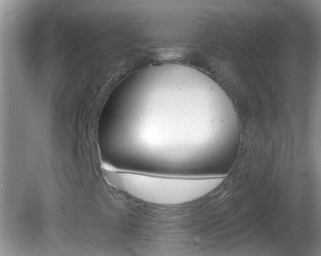 X0000082761441200701261113